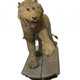 Illustration for article titled The Worlds Most Awkward Taxidermy